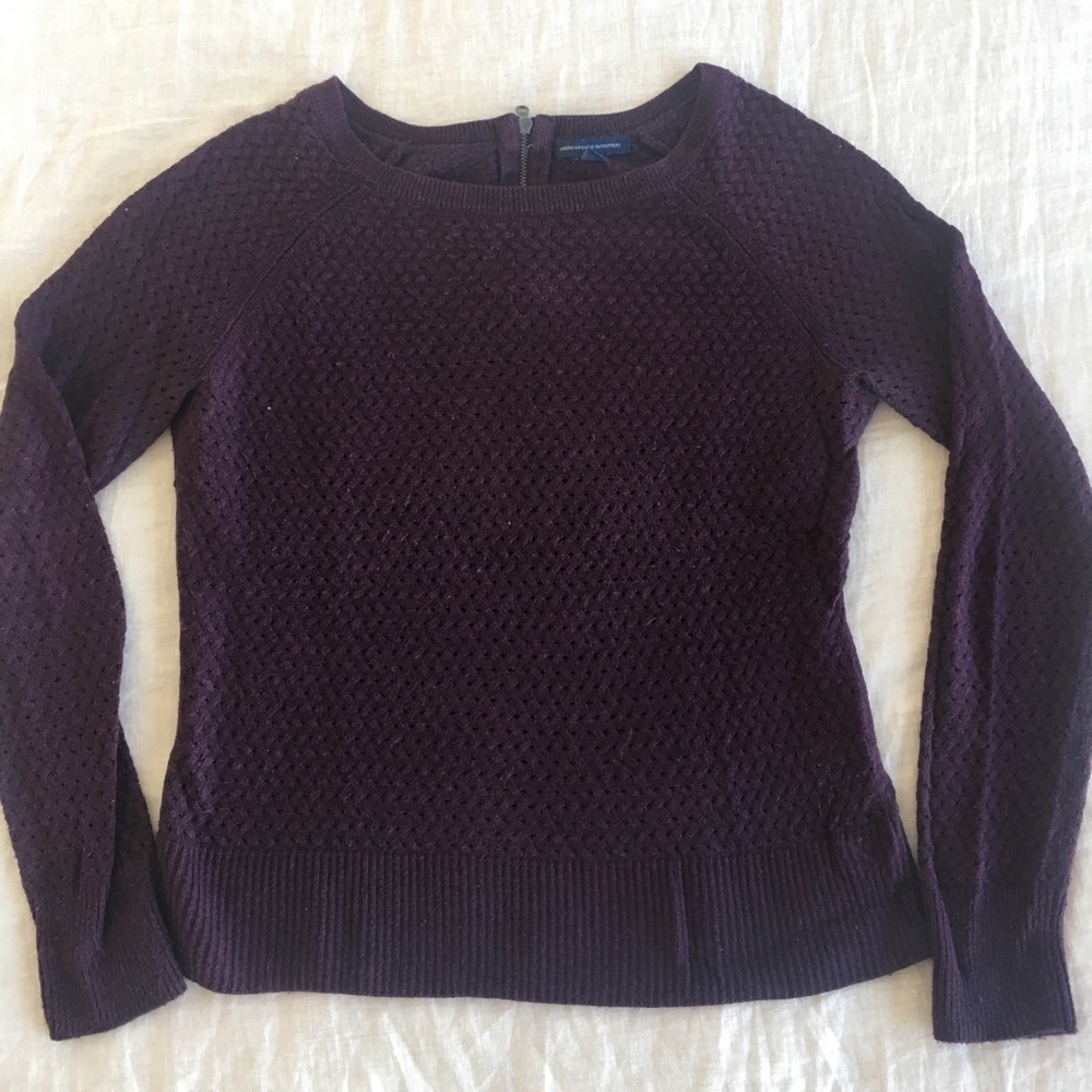 Plum Size Medium American Eagle Sweater